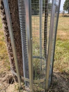 Ein Baumwaechter von nahmen unten am Stamm mit Gittergeflecht