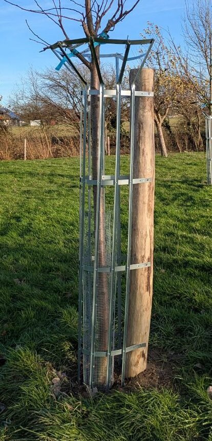 baumwaechter grossvieh vollansichtschmal